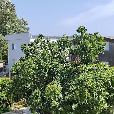 Vila Goga Ulcinj Exterior photo
