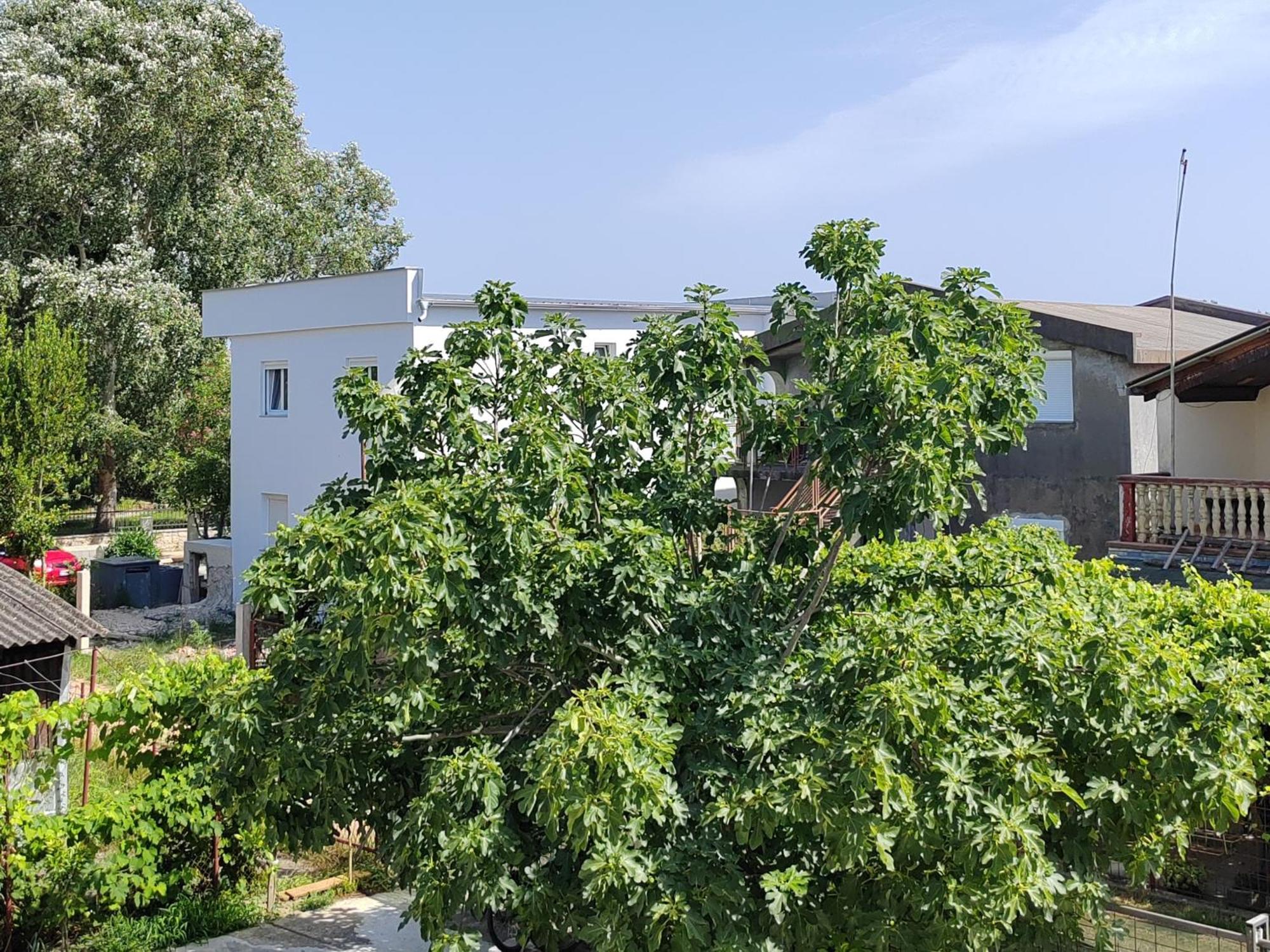 Vila Goga Ulcinj Exterior photo